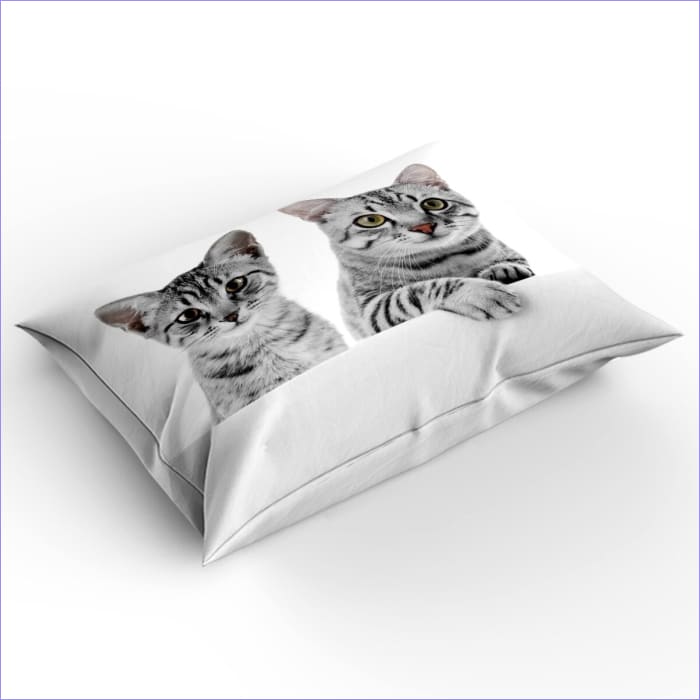 Copripiumino Gatti Abbraccio Mattutino